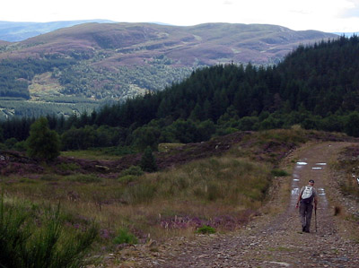 The author on a walk